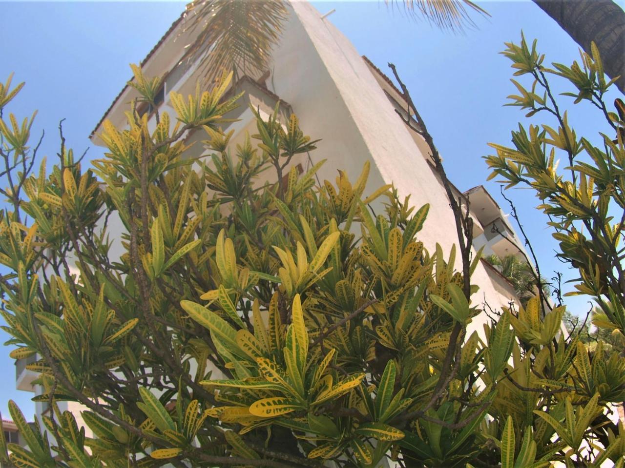 Suites Las Palmas Hotel & Villas Manzanillo Exterior foto