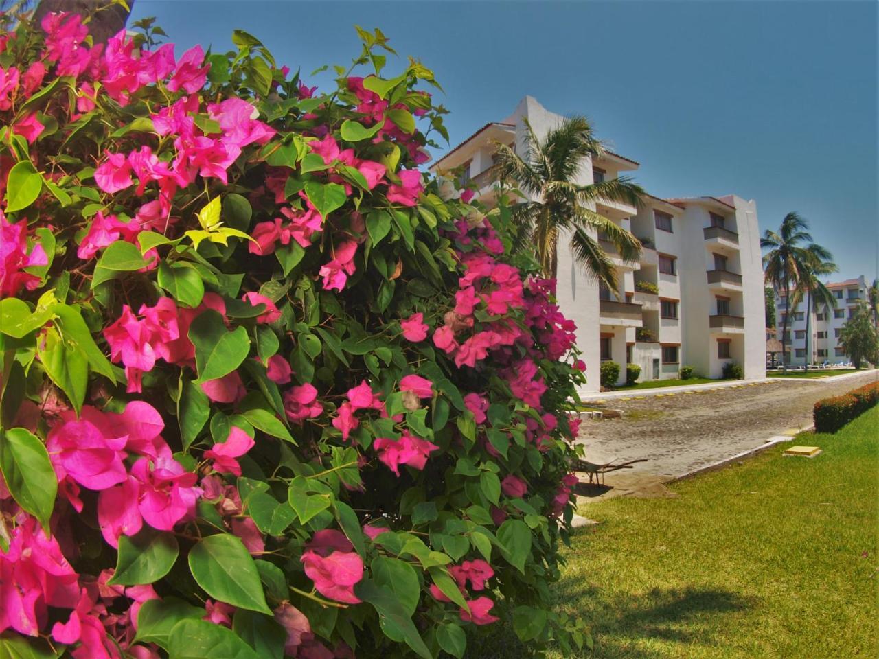 Suites Las Palmas Hotel & Villas Manzanillo Exterior foto